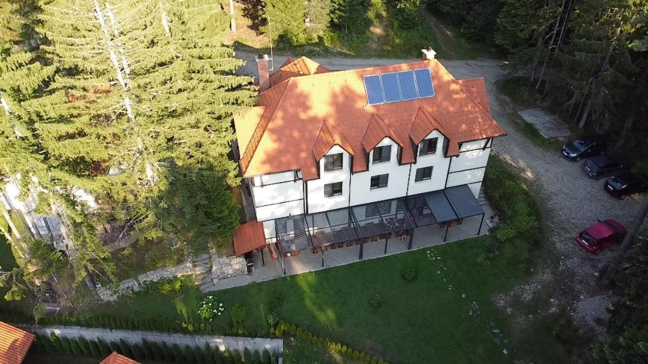 Berghof Eva - Hotel Panichishte Bagian luar foto