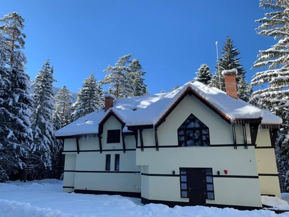 Berghof Eva - Hotel Panichishte Bagian luar foto